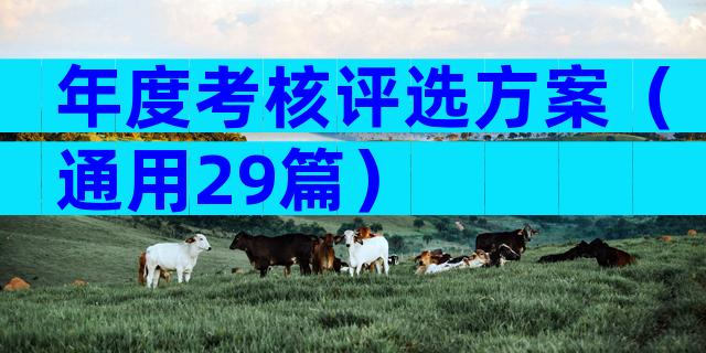 年度考核评选方案（通用29篇）