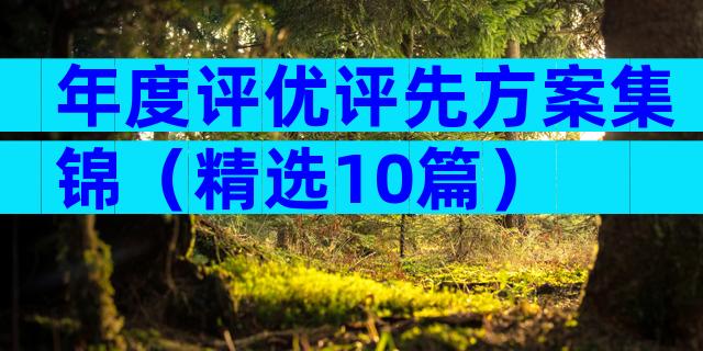 年度评优评先方案集锦（精选10篇）