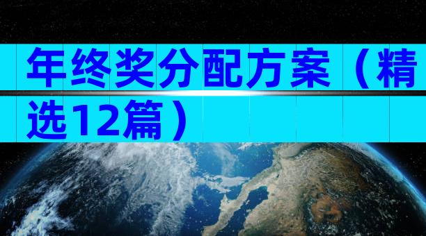 年终奖分配方案（精选12篇）