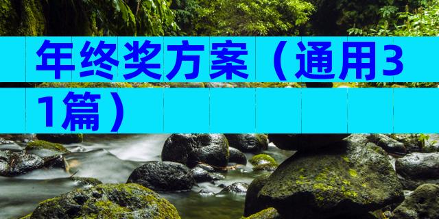 年终奖方案（通用31篇）