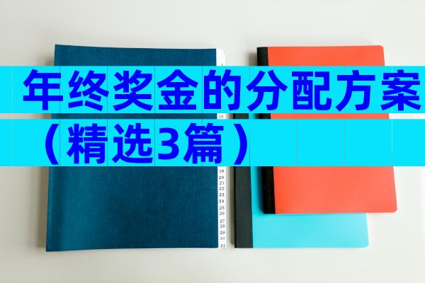 年终奖金的分配方案（精选3篇）