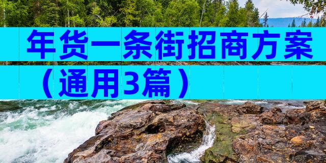 年货一条街招商方案（通用3篇）