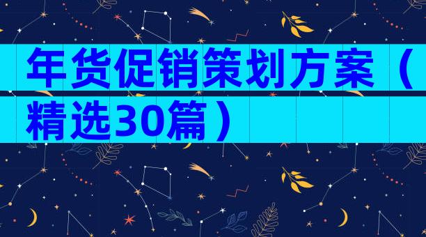 年货促销策划方案（精选30篇）