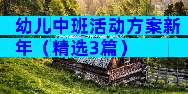 幼儿中班活动方案新年（精选3篇）