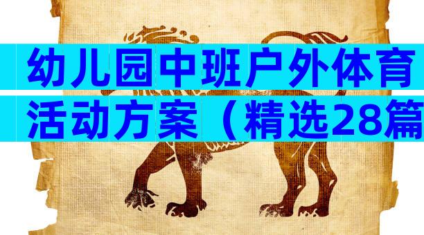 幼儿园中班户外体育活动方案（精选28篇）