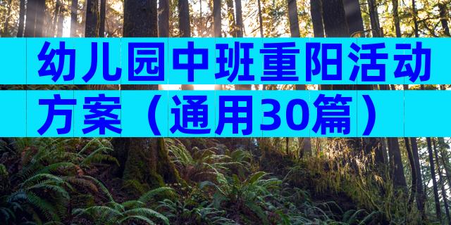 幼儿园中班重阳活动方案（通用30篇）