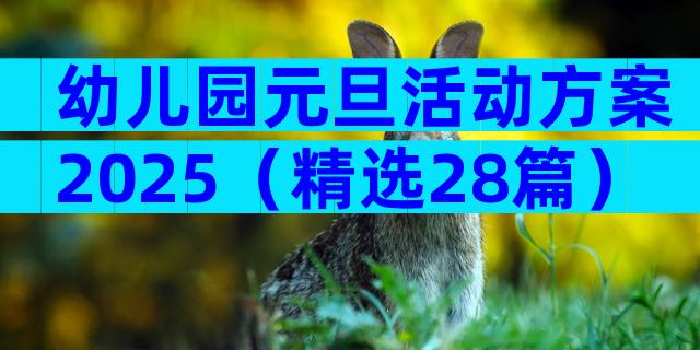 幼儿园元旦活动方案2025（精选28篇）