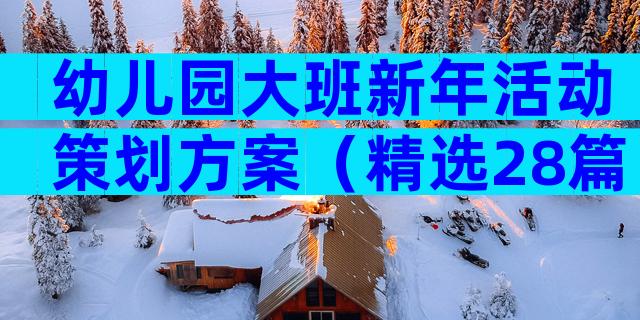 幼儿园大班新年活动策划方案（精选28篇）