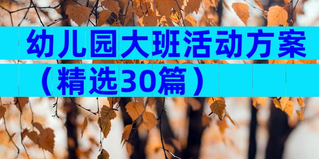 幼儿园大班活动方案（精选30篇）