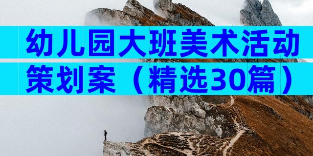 幼儿园大班美术活动策划案（精选30篇）