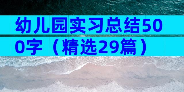 幼儿园实习总结500字（精选29篇）