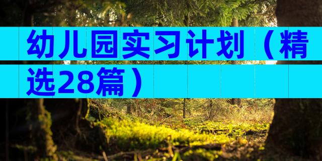 幼儿园实习计划（精选28篇）