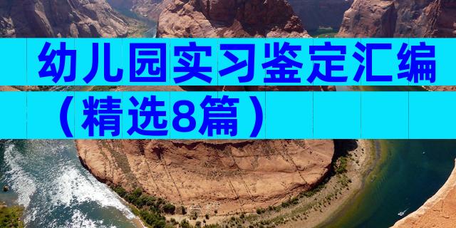 幼儿园实习鉴定汇编（精选8篇）