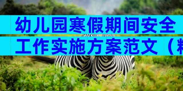 幼儿园寒假期间安全工作实施方案范文（精选15篇）