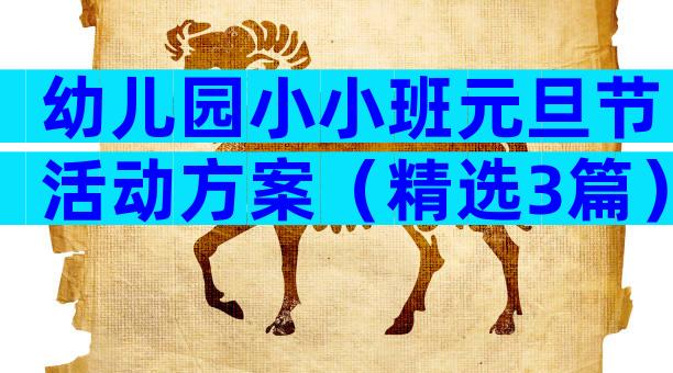幼儿园小小班元旦节活动方案（精选3篇）