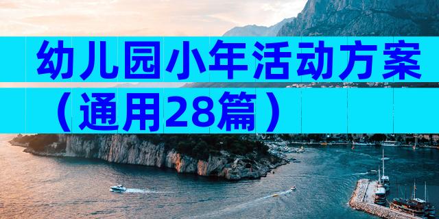 幼儿园小年活动方案（通用28篇）