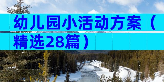 幼儿园小活动方案（精选28篇）