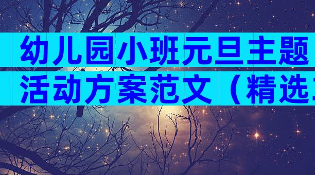 幼儿园小班元旦主题活动方案范文（精选3篇）