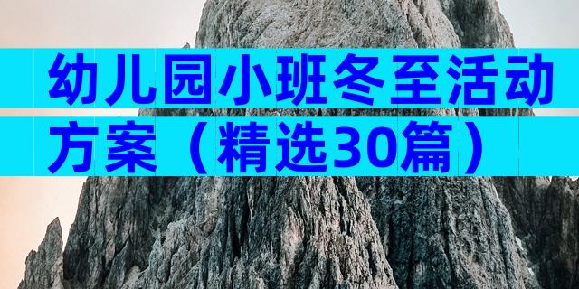 幼儿园小班冬至活动方案（精选30篇）