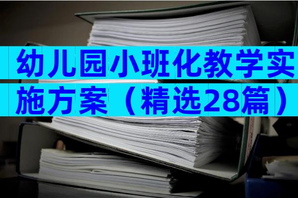 幼儿园小班化教学实施方案（精选28篇）