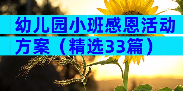 幼儿园小班感恩活动方案（精选33篇）