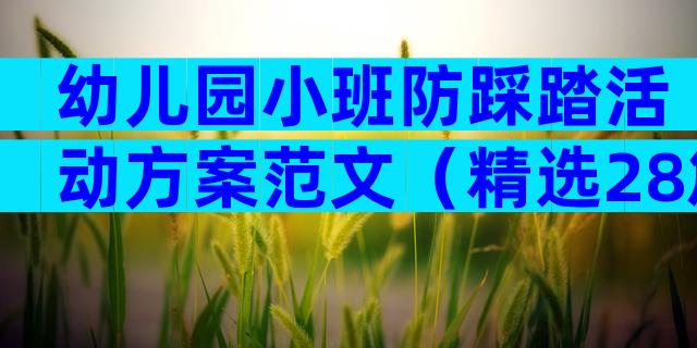 幼儿园小班防踩踏活动方案范文（精选28篇）