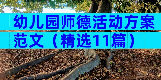 幼儿园师德活动方案范文（精选11篇）