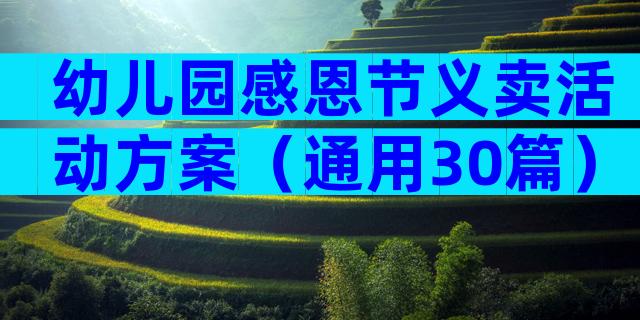 幼儿园感恩节义卖活动方案（通用30篇）