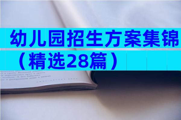 幼儿园招生方案集锦（精选28篇）