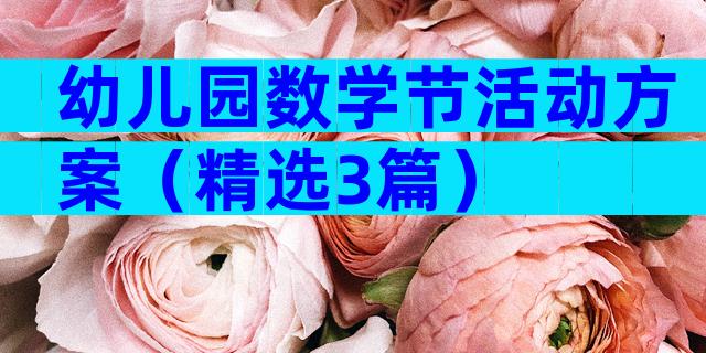 幼儿园数学节活动方案（精选3篇）