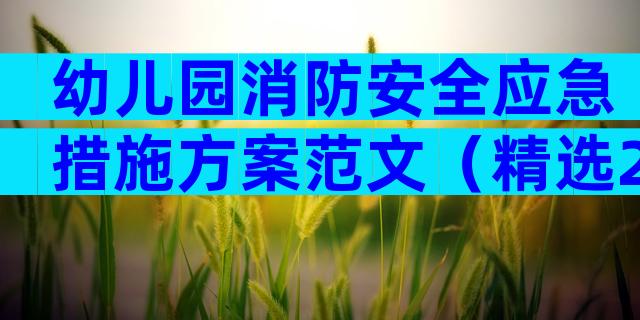 幼儿园消防安全应急措施方案范文（精选28篇）