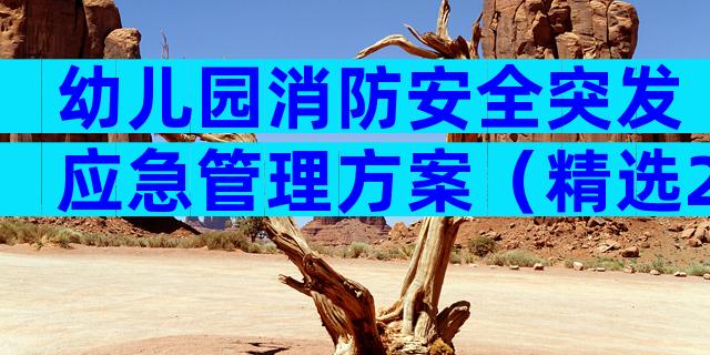 幼儿园消防安全突发应急管理方案（精选29篇）