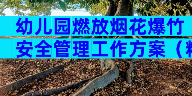 幼儿园燃放烟花爆竹安全管理工作方案（精选9篇）