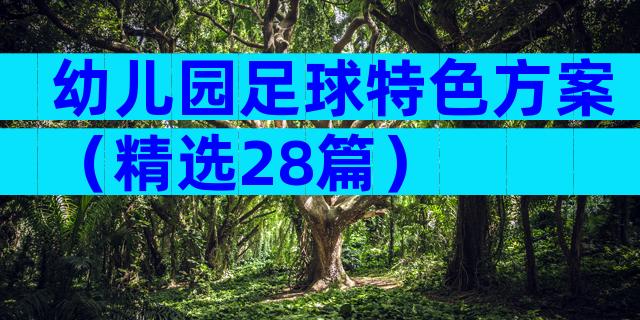 幼儿园足球特色方案（精选28篇）
