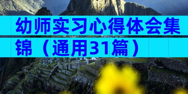 幼师实习心得体会集锦（通用31篇）