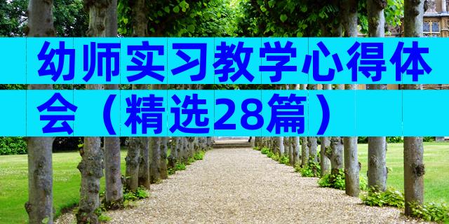 幼师实习教学心得体会（精选28篇）