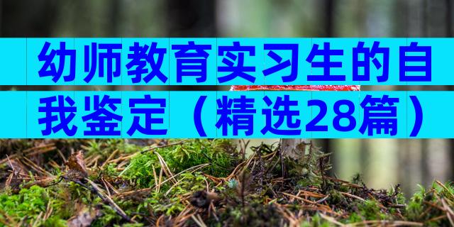 幼师教育实习生的自我鉴定（精选28篇）