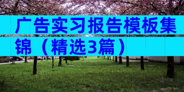 广告实习报告模板集锦（精选3篇）