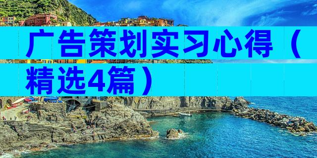 广告策划实习心得（精选4篇）