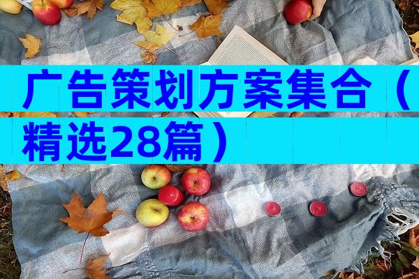 广告策划方案集合（精选28篇）