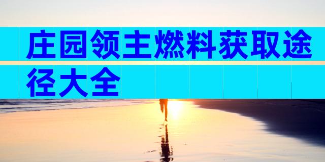 庄园领主燃料获取途径大全