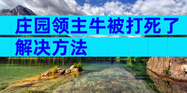 庄园领主牛被打死了解决方法