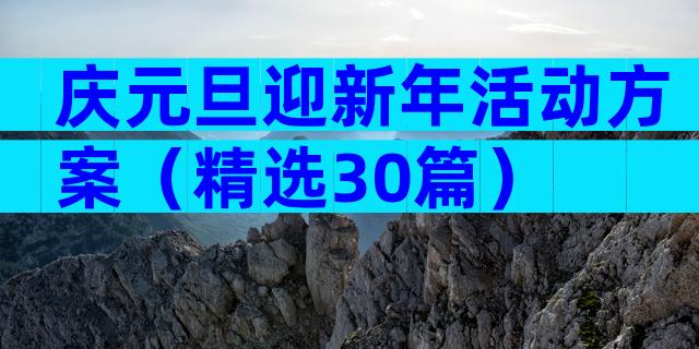 庆元旦迎新年活动方案（精选30篇）