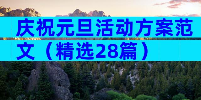 庆祝元旦活动方案范文（精选28篇）