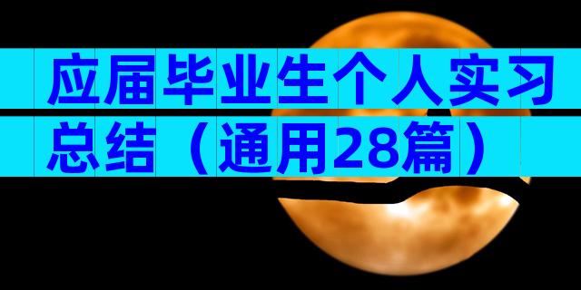 应届毕业生个人实习总结（通用28篇）
