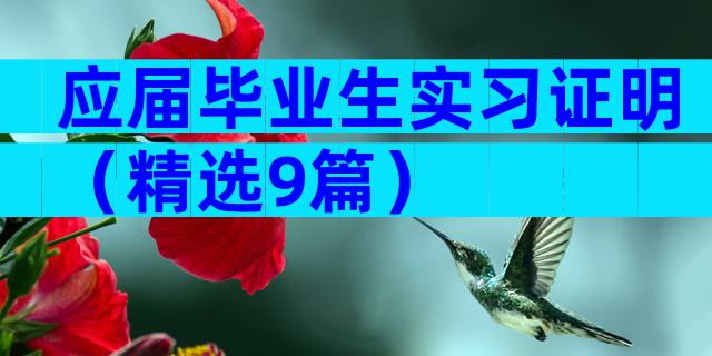 应届毕业生实习证明（精选9篇）