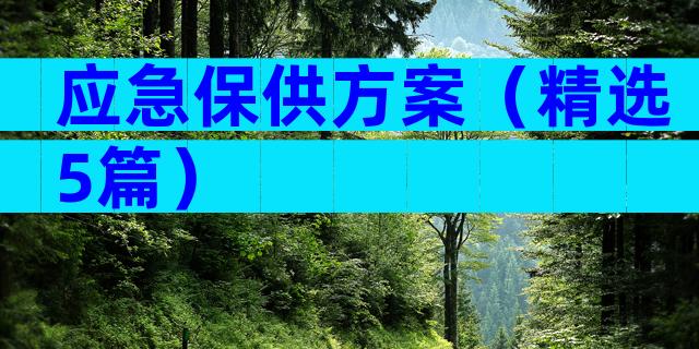 应急保供方案（精选5篇）