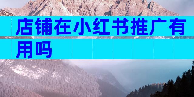 店铺在小红书推广有用吗