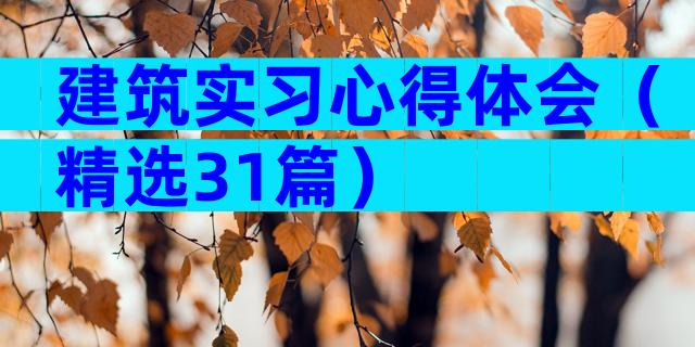 建筑实习心得体会（精选31篇）