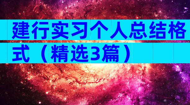 建行实习个人总结格式（精选3篇）